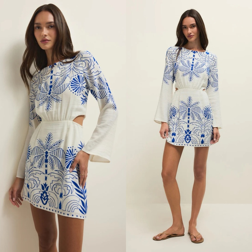 Z Supply White Mini Dress with Blue Botanical Embroidery